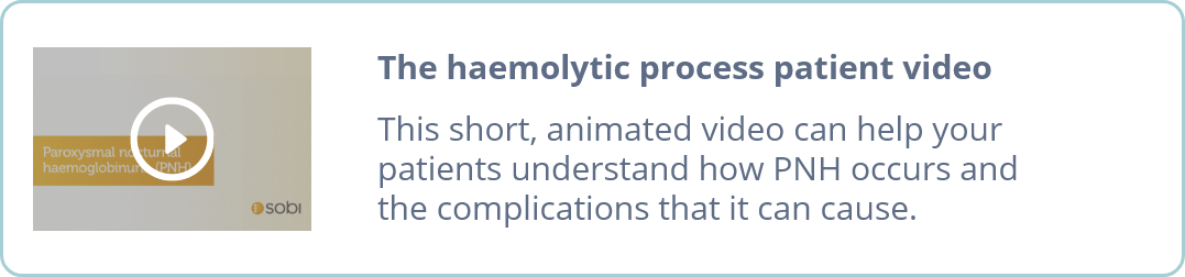 The haemolytic process patient video
