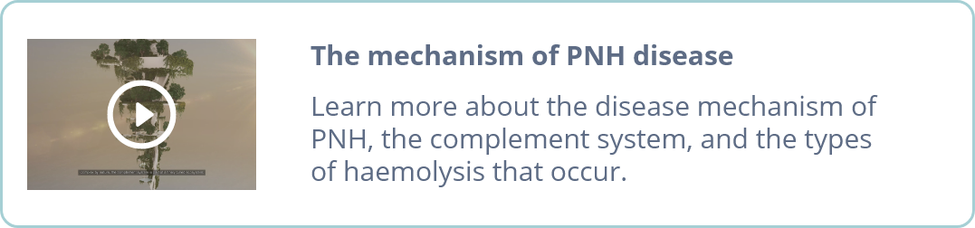 The mechanism of PNH disease
